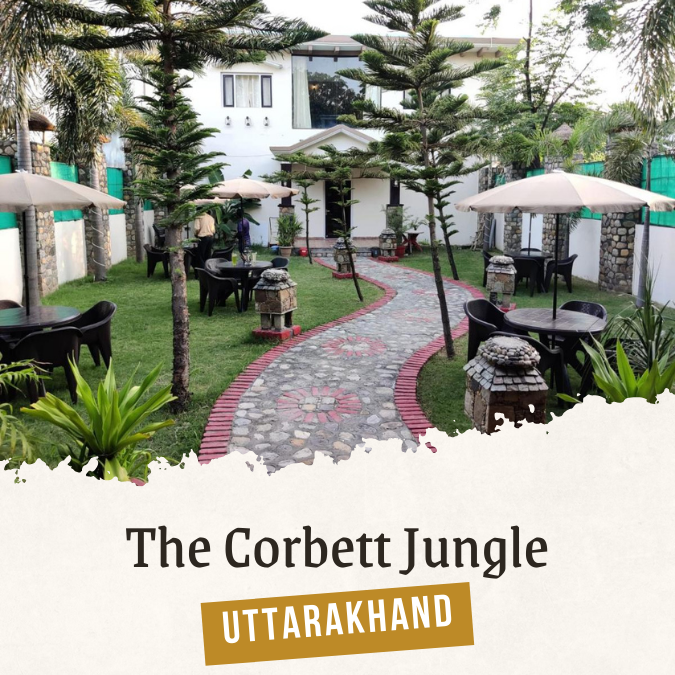 The Corbett Jungle Uttarakhand